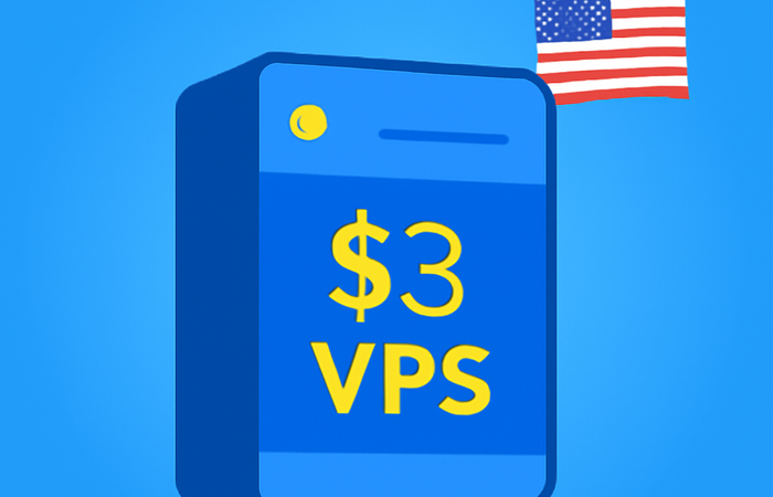 $3 VPS: Is It Worth the Risk?