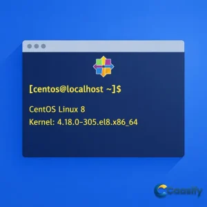 A person using terminal command to check CentOS version on Linux system.