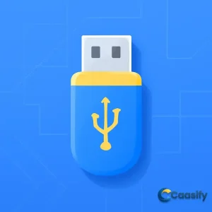 Step-by-step guide to create a Windows Live USB for running Windows on multiple devices.